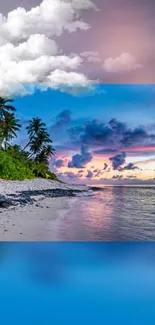 Tropical beach with vibrant sunset and palm trees, perfect mobile wallpaper.