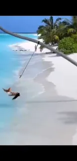 Tropical beach with swing and turquoise waters.