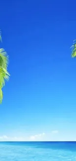 Tropical beach wallpaper with blue sky, ocean, and palm trees.