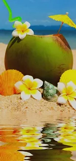 Tropical beach with coconut, flowers, and seashells in the sunlight.