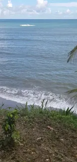 Tropical beach wallpaper with ocean waves and green palm leaves.