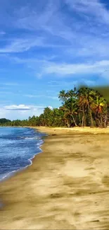 Tropical beach with palm trees and golden sand under a blue sky.