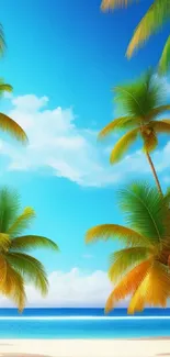 Tropical beach with palm trees against a bright blue sky and ocean view.