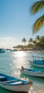 Tropical beach with boats and palm trees under a clear blue sky.
