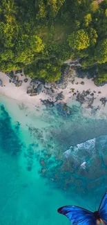 Aerial view of a tropical beach with a vibrant blue butterfly.