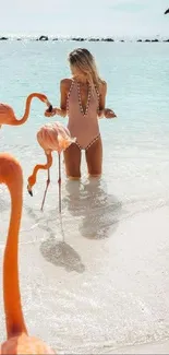 Vibrant flamingos on a tropical beach with azure waters and sandy shores.