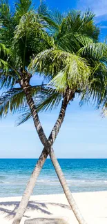 Tropical beach with palm trees under a bright blue sky.