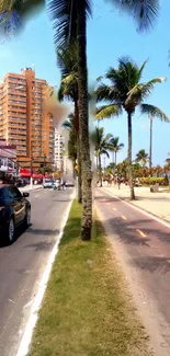 Scenic beachside urban street with palm trees and buildings under blue sky.