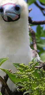 A vibrant tropical bird perched among lush green leaves.