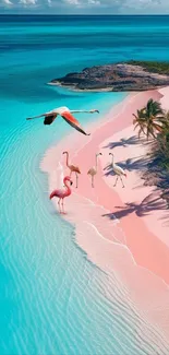 Flamingos on a tropical pink sand beach with turquoise waters.