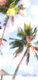 Tropical wallpaper with palm trees by the ocean and bokeh lights.