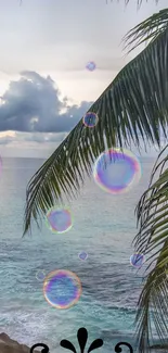 Tropical beach with bubbles and palm leaves overlooking the ocean.