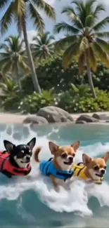 Three dogs in life jackets enjoying waves on a tropical beach.