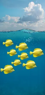 Yellow tropical fish swimming in blue ocean under a cloudy sky.