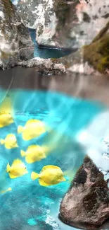 Yellow tropical fish in turquoise waters with rocky backdrop.