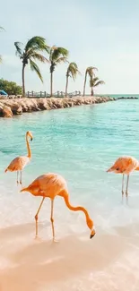 Tropical beach wallpaper with flamingos and palm trees on a sunny day.