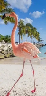 Vibrant flamingo on tropical beach with palm trees and ocean.