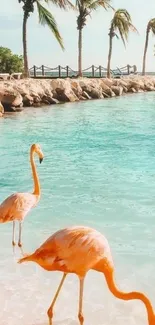 Tropical beach with flamingos and palm trees under a clear sky.