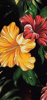 Tropical floral wallpaper with red and orange hibiscus on black background.