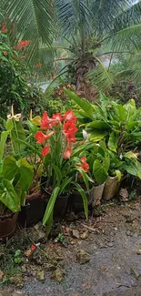 Vibrant tropical garden with lush greenery and blooming red flowers.