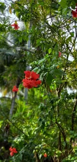 Tropical garden with red flowers and green foliage, perfect phone wallpaper.