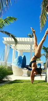 Person doing handstand under palm trees and blue sky.