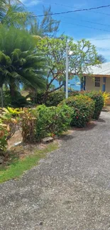 Tropical house pathway with greenery and clear sky.