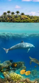 Dolphin swimming near tropical island with vibrant marine life.