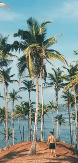 Man enjoys a scenic view of lush palm trees on a tropical island beach.