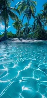 Beautiful tropical island with palm trees and clear turquoise water.