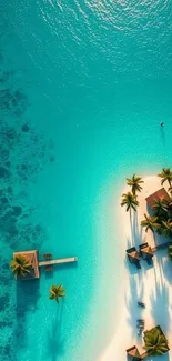 Aerial view of tropical island with turquoise waters and palm trees.