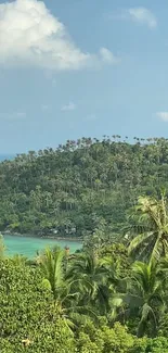 Tropical island view with lush greenery and ocean.