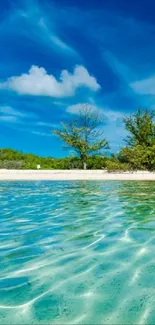 A stunning tropical island scene with turquoise waters and an azure sky.