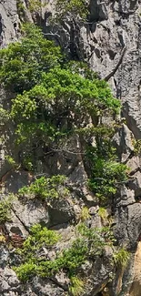 Tropical rock formation island with blue sky.