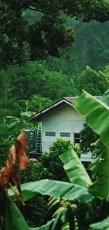 Tropical jungle scene with hidden house among lush greenery.