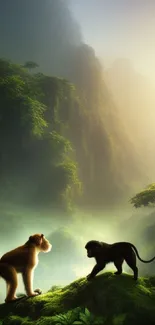 Monkeys in a lush tropical jungle with soft, misty lighting.