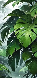 Lush monstera leaves in a tropical jungle setting, exuding serenity and nature.