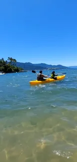 Two people kayaking on a sunny tropical beach with clear blue skies.