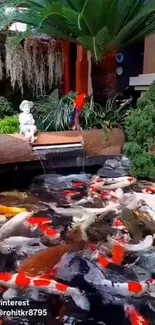 Vibrant koi pond with lush plants and colorful fish in a tropical setting.