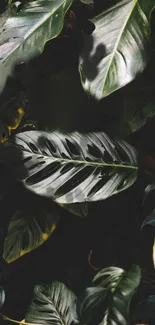 Lush tropical leaves with rich green tones, ideal for a mobile wallpaper.