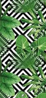 Green tropical leaves on geometric background.