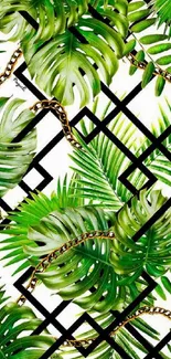 Lush tropical leaves with geometric pattern.