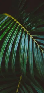 Tropical leaf pattern with lush green foliage wallpaper design.