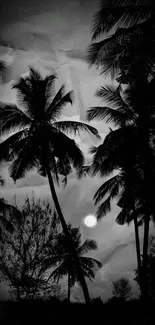 Silhouette of palm trees in moonlit tropical night.