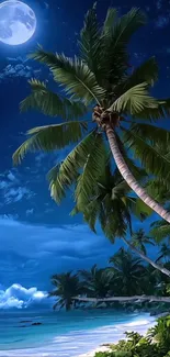 Tropical beach under a full moon night sky with palm trees.