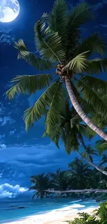 Tropical beach at night with palm trees under the moonlight.