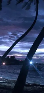 Tropical beach at night with silhouetted palms and ocean waves under a twilight sky.