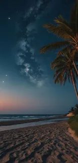 Tropical beach at night with palm trees and a starry sky.