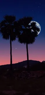 Tropical night sky with palm silhouette and crescent moon.