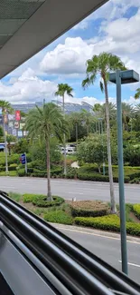 Tropical city view with palm trees and greenery.